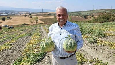 Nilüfer Belediye Başkanı Şadi Özdemir, Konaklı Mahallesi’nde kavun üreticilerini ziyaret