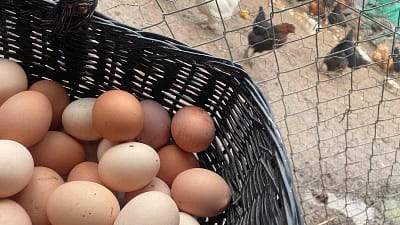 "Mayıs çukuru" denilen talebin azaldığı dönemde marketlerde fiyatı 100 liraya