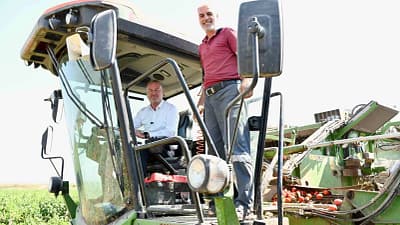 Türkiye’nin salçalık domates ihtiyacının yüzde 40’ını karşılayan Karacabey Ovası’nda hasat