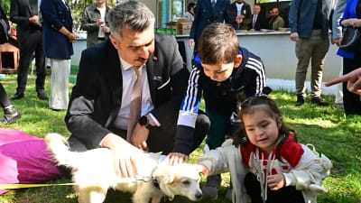 Mama Üretim Tesisi, Hayvan Ambulansı, PatiVet Gezici Tedavi Aracı gibi