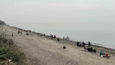 Düzce’nin Akçakoca ilçesinde sahiller sabahın ilk ışıklarından akşam saatlerine kadar