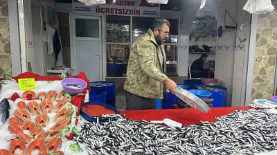 Kütahyanın Tavşanlı ilçesindeki Balık Pazarı, zengin balık çeşitleri ve taze