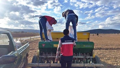 Kütahya’nın Çavdarhisar ilçesinde üreticilere dağıtılan buğday ve tritikale tohumlarının demonstrasyon