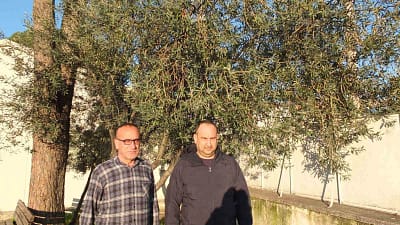 Balıkesir’in Burhaniye ilçesinde aralıklarla etkili olan yağışlar su baskınlarına yol