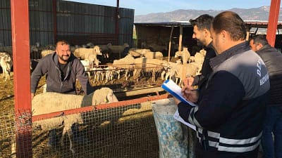 Denizli’de milyonlarca hayvanın aşılandığı kapsamlı çalışmalarla üreticiye yüz milyonlarca liralık