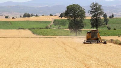 Samsun’da 2023-2025 döneminde tarım, hayvancılık ve kırsal kalkınma alanlarında üreticilere