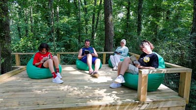 Ormanya içindeki Orman Kütüphanesi, kuş sesleri eşliğinde kitap okuma deneyimi