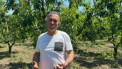 Türkiye’nin şeftali ve nektarin üretiminde önde gelen merkezlerinden olan Bursa’nın