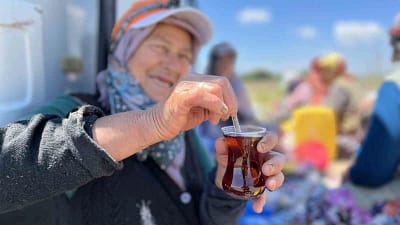 Bursa’nın önemli tarımsal üretim merkezlerinden Karacabey’de gün boyu güneşin altında
