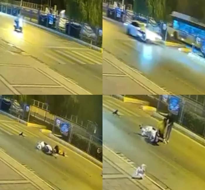 Mersin’de motosiklet kazasında köpeğin bekleyişi duygulandırdı Mersin’in Yenişehir ilçesinde motosiklet kazasında yaralanan sürücünün yanından ayrılmayan köpeğinin