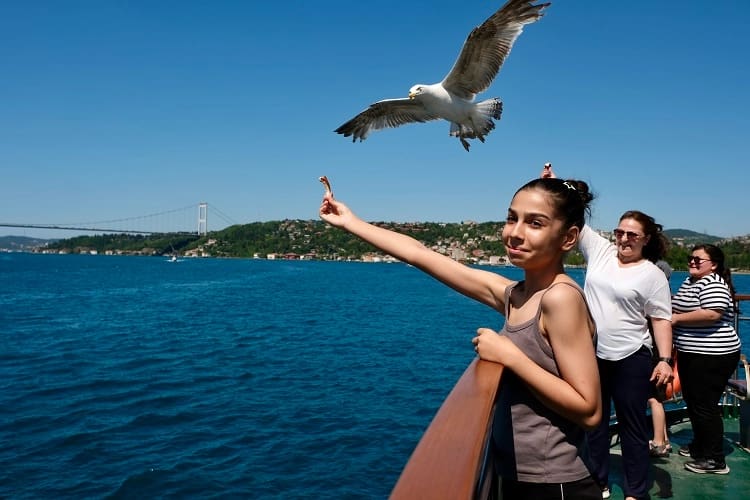 Şehir hatlarından çocuklara karne hediyesi 2024-2025 eğitim-öğretim yılının sona ermesiyle birlikte İstanbul’da yaşayan, ancak denizle