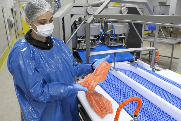 Türk somonundan 6 ayda 217 milyon dolar ihracat geliri Yılın ilk yarısında ihracatını yüzde 17 artıran Türk somonu, sektörün