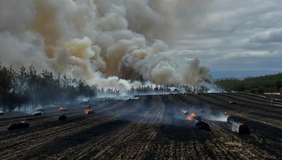 Bursa Büyükşehir: Yangın kontrol altına alınmaya çalışılıyor Kavaklı Mahallesi’nde çıkan yangına itfaiye ve orman ekipleri havadan ve