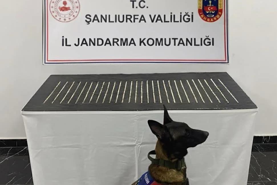 Şanlıurfa’da uyuşturucu operasyonu: 4 şüpheli gözaltında Eyyübiye ve Haliliye ilçelerinde yapılan jandarma operasyonunda sentetik ecza hap