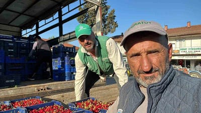 Bursa’nın İznik ilçesine bağlı Orhaniye Mahallesi’nde mevsimin ilk karabodur kirazı