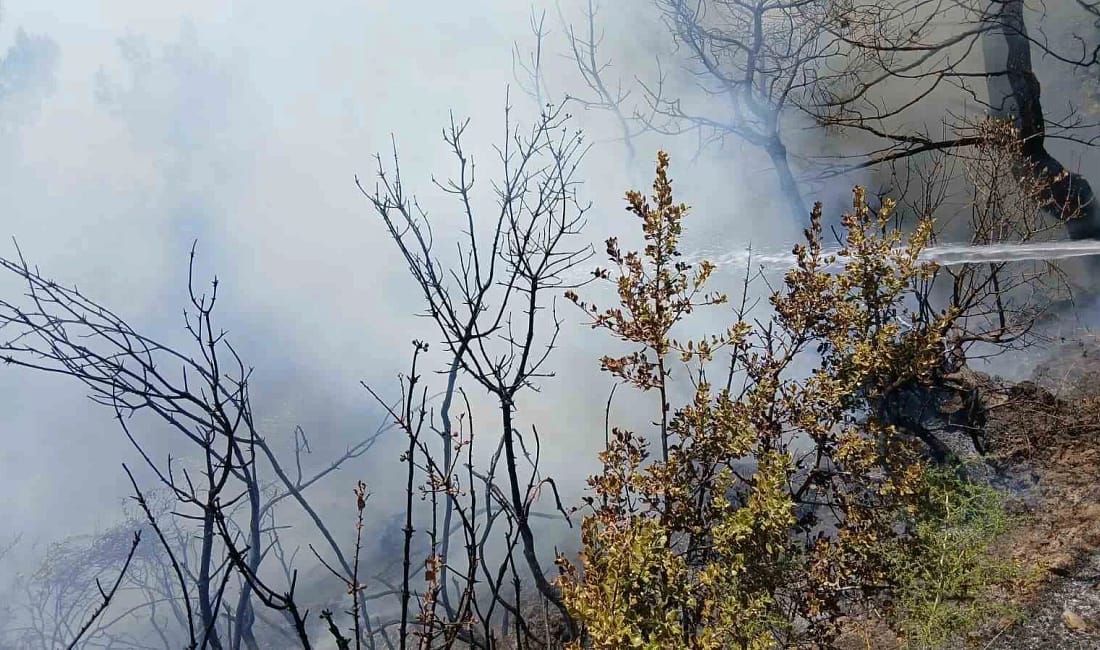 Bursa’da piknik alanı yakınındaki yangın korkuttu Bursa’nın Gemlik ilçesinde piknik alanı yakınlarında çıkan yangın, ekiplerin zamanında